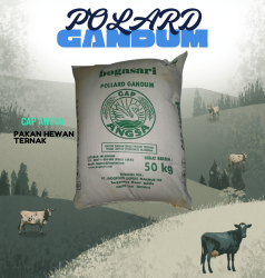 Pollard Gandum Cap Angsa/ Dedak Gandum / Pakan Ternak